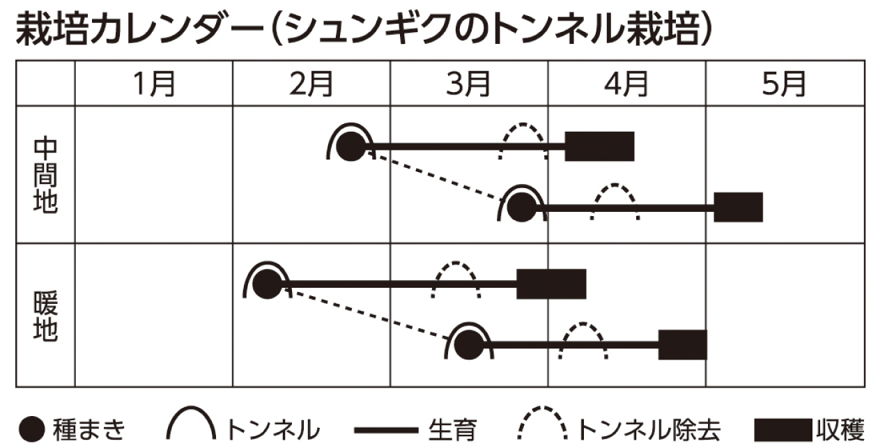 栽培カレンダー（フェンネル）