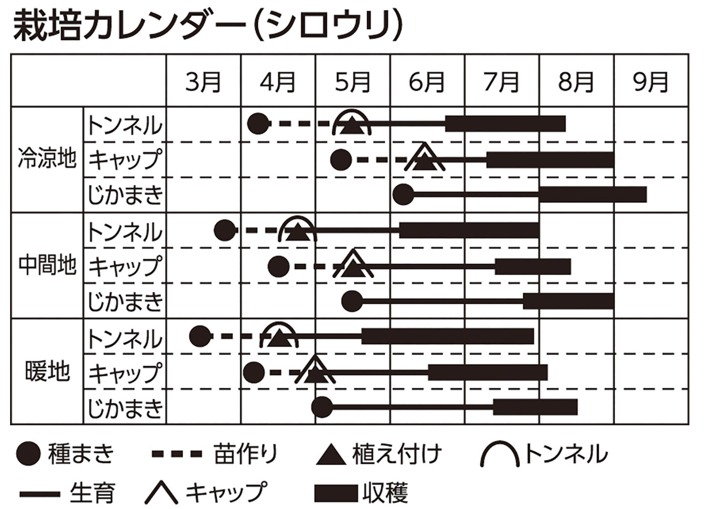 栽培カレンダー(シロウリ)