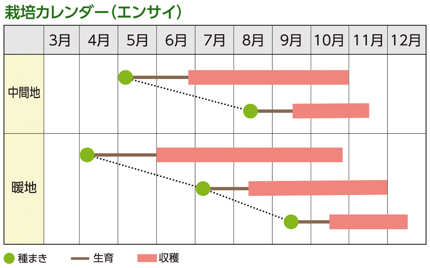 栽培カレンダー（エンサイ）