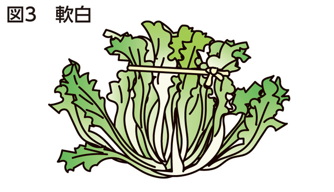 図3 軟白