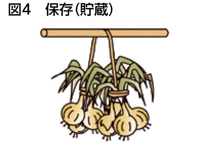 図4 保存（貯蔵）