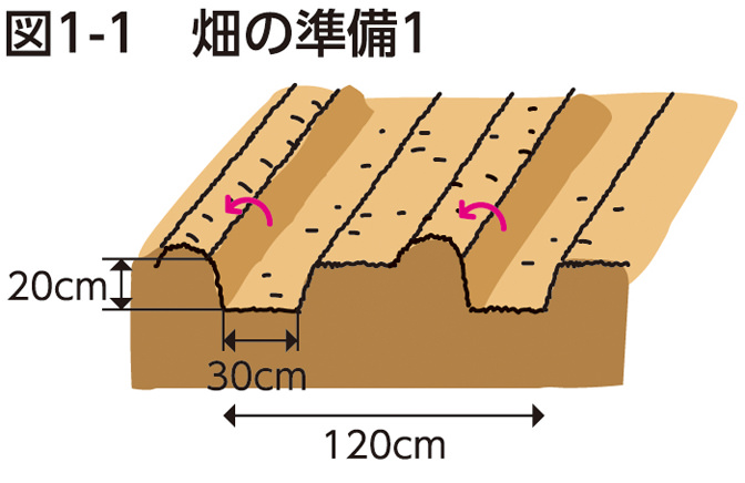 図1-1 畑の準備1