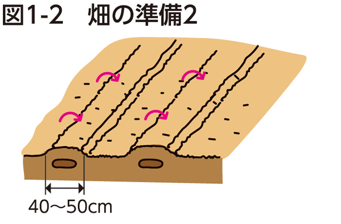 図1-2 畑の準備2