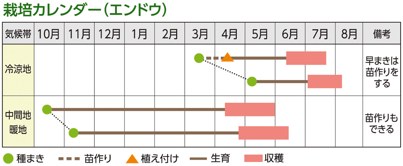 栽培カレンダー（エンドウ）