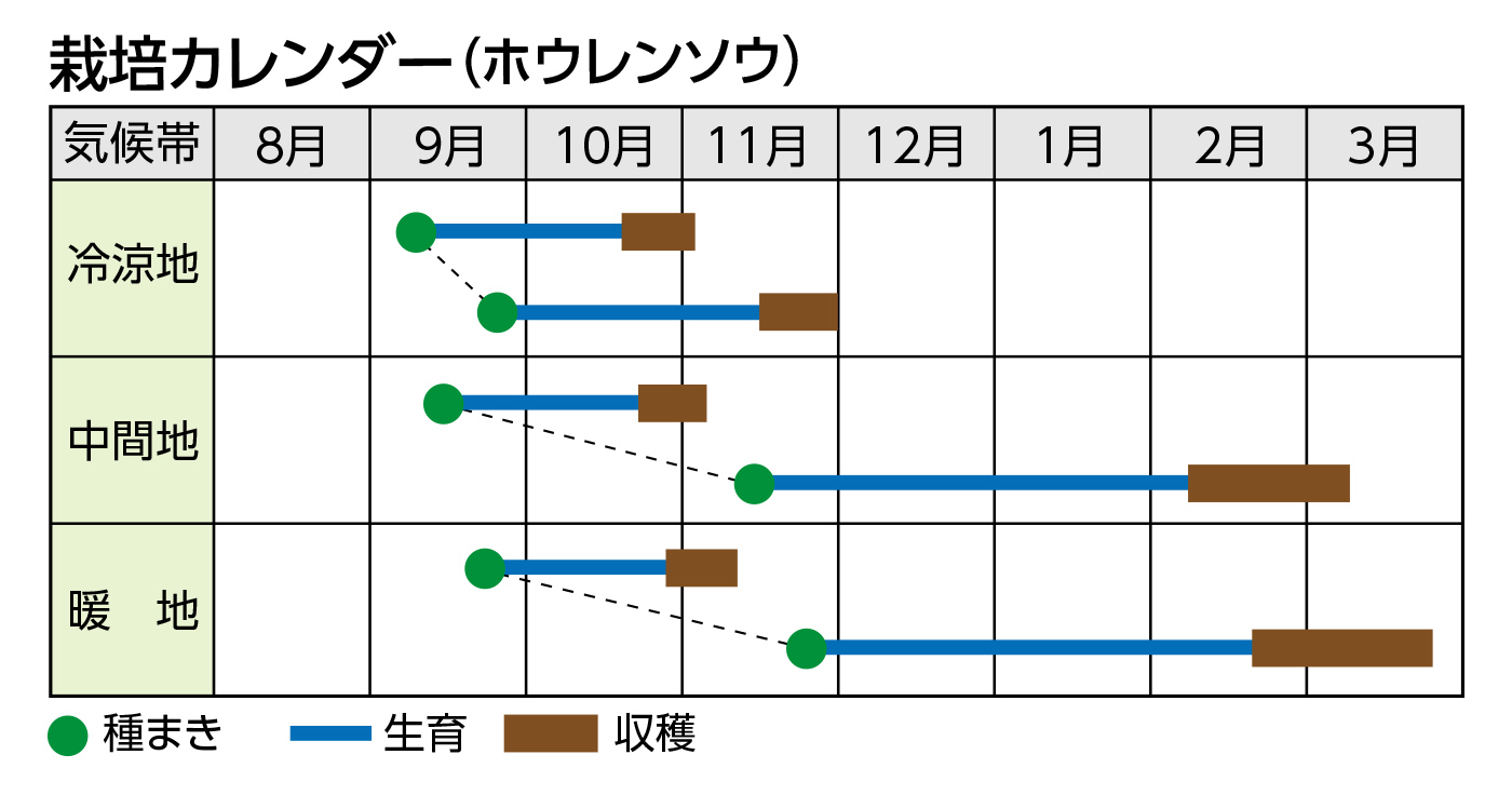 栽培カレンダー(ホウレンソウ)
