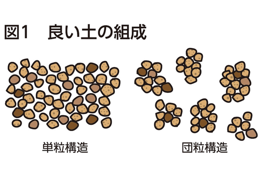 冬にやっておきたい土作り