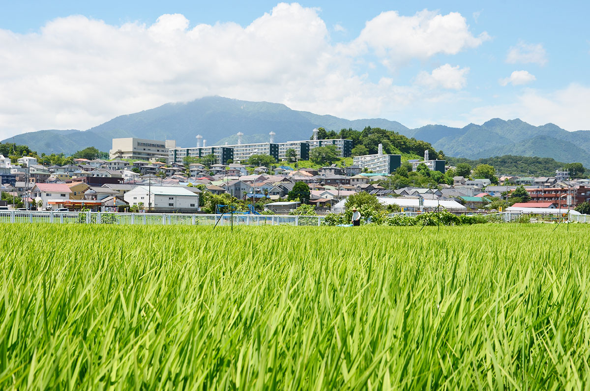 景観を保全する機能