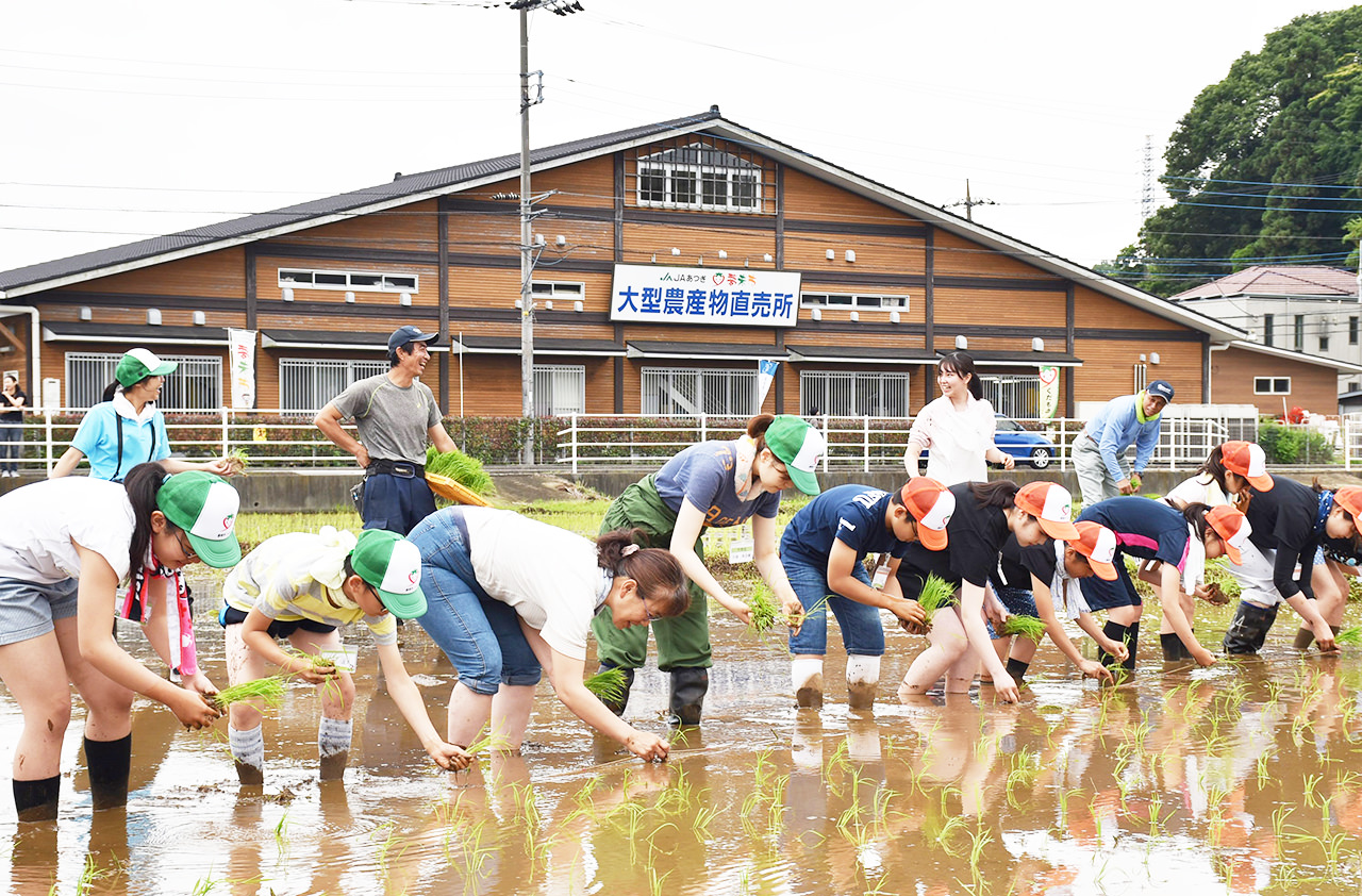 力を合わせて田植えを行うスクール生の写真