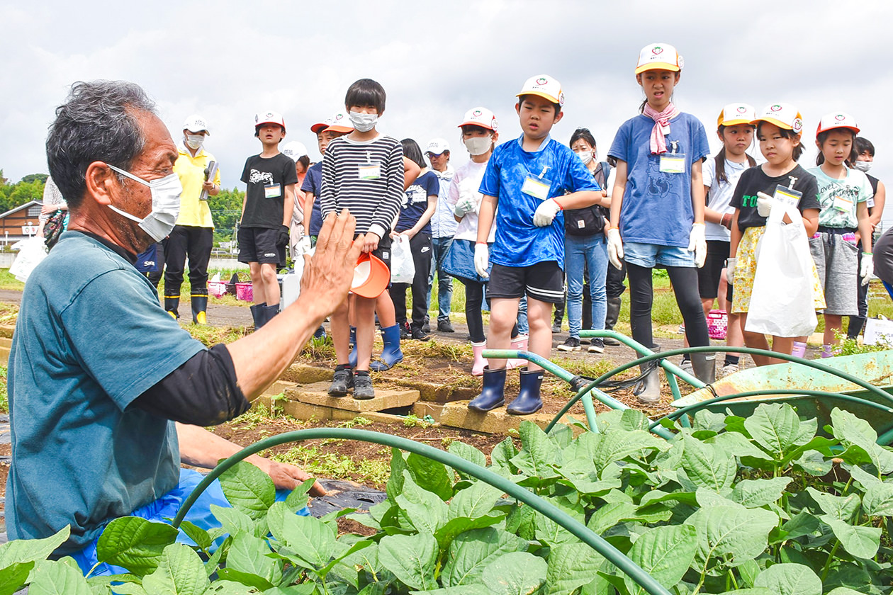 生産者から野菜の特徴を学ぶスクール生の写真