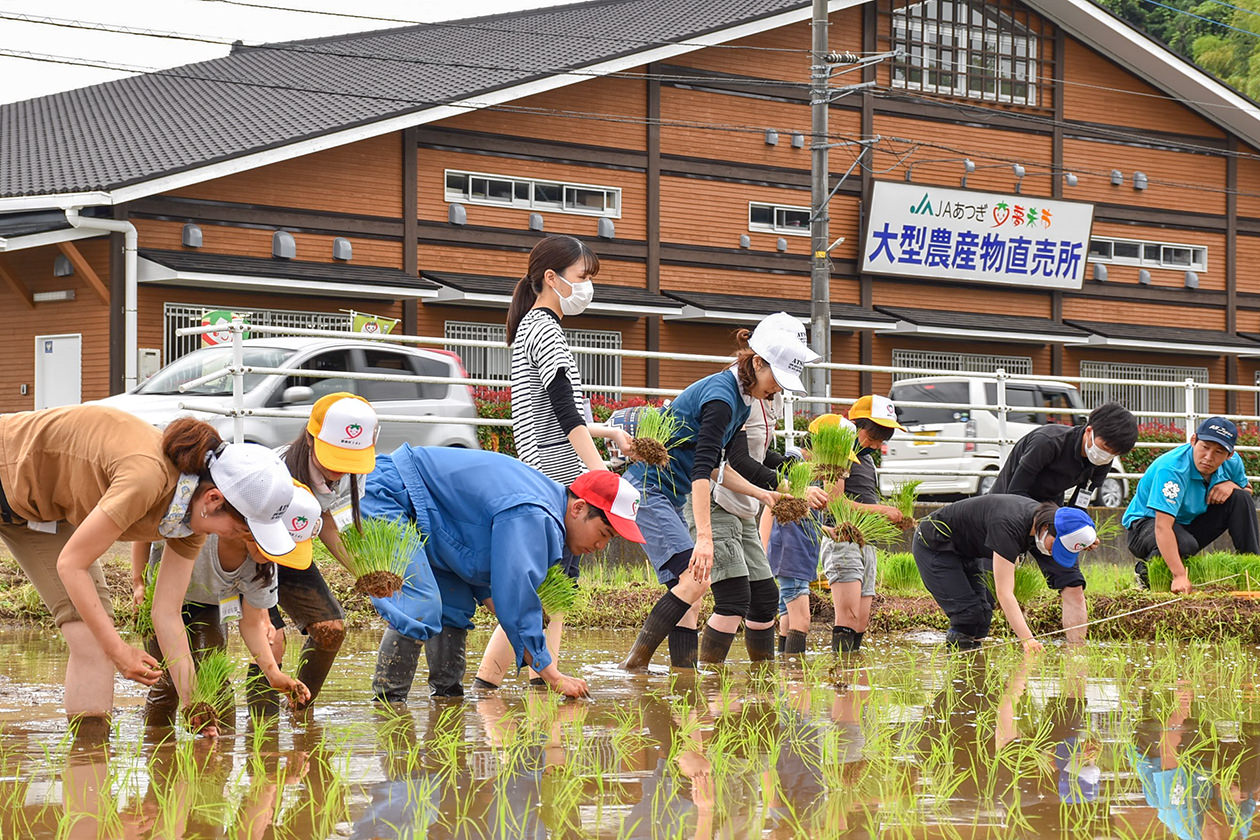 田植えを行うスクール生の写真