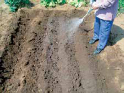 土壌の利用効果を高める土壌消毒の方法 営農通信 Jaあつぎ