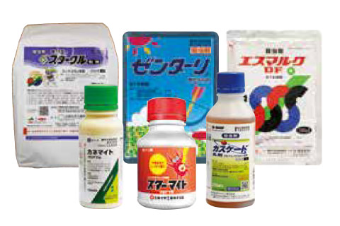 いのちを救うキトサン大薬効 水溶性キトサン でガンからうつ病まで克服！ 林 義人 いのちを救うキトサン大薬効 水溶性キトサン でガンからうつ病