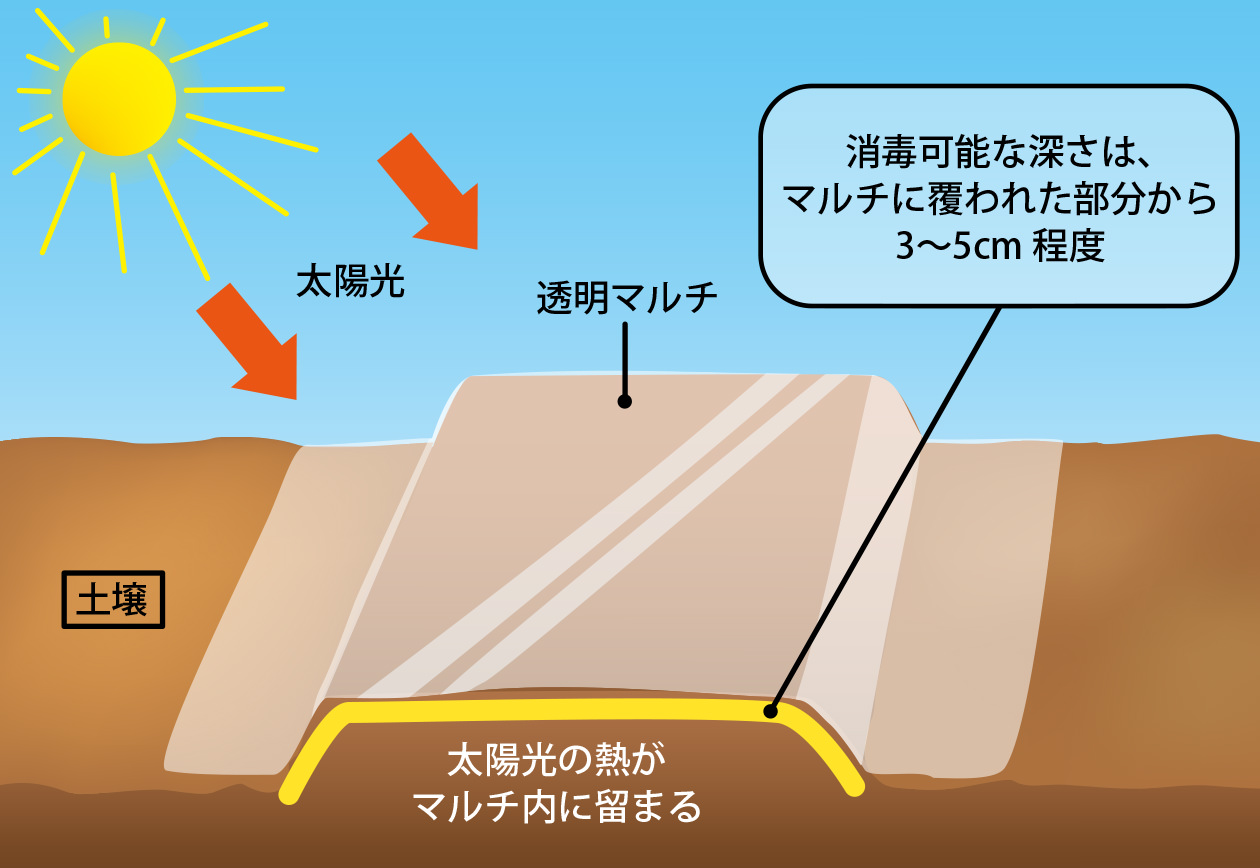 太陽熱消毒のイメージ図
