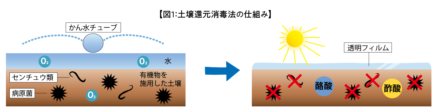 図1：土壌還元消毒法の仕組み