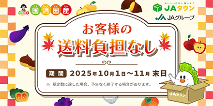 国産DAY