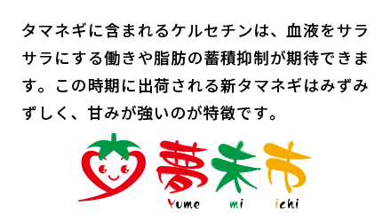 タマネギに含まれるケルセチンは、血液をサラサラにする働きや脂肪の蓄積抑制が期待できます。この時期に出荷される新タマネギはみずみずしく、甘みが強いのが特徴です。