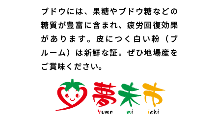 ブドウには、果糖やブドウ糖などの糖質が豊富に含まれ、疲労回復効果があります。皮につく白い粉（ブルーム）は新鮮な証。ぜひ地場産をご賞味ください。