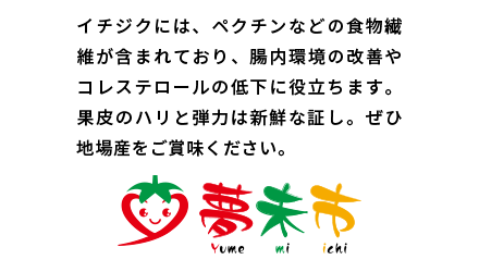 イチジクの赤い色は、ガン抑制効果があるいわれるアントシアニンです。完熟の状態で収穫するため、強い甘みと香りが特徴です。ぜひ新鮮な地場産のイチジクをご賞味ください。
おいしい季節になりましたsscsc