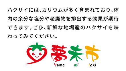 ハクサイは、風邪予防に役立つビタミンCをはじめ、高血圧予防やむくみ改善が期待できるカリウムを多く含みます。甘みをたっぷり替えた地場産をぜひご賞味ください。