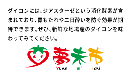 ダイコンには、ジアスターゼという消化酵素が含まれており、胃もたれや二日酔いを防ぐ効果が期待できます。ぜひ、新鮮な地場産のダイコンを味わってみてください。