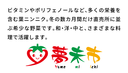 ビタミンやポリフェノールなど、多くの栄養を含む葉ニンニク。冬の数カ月間だけ直売所に並ぶ希少な野菜です。和・洋・中と、さまざまな料理で活躍します。