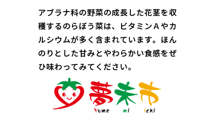 アブラナ科の野菜の成長した花茎を収穫するのらぼう菜は、ビタミンＡやカルシウムが多く含まれています。ほんのりとした甘みとやわらかい食感をぜひ味わってみてください。