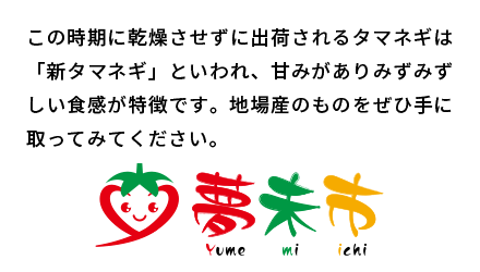 この時期に乾燥させずに出荷されるタマネギは「新タマネギ」といわれ、甘みがありみずみずしい食感が特徴です。地場産のものをぜひ手に取ってみてください。