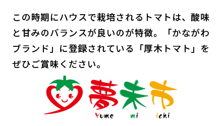 この時期にハウスで栽培されるトマトは、酸味と甘みのバランスが良いのが特徴。「かながわブランド」に登録されている「厚木トマト」をぜひご賞味ください。
