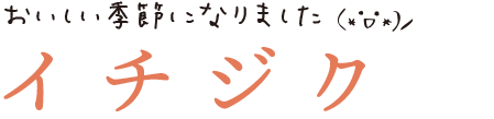 ブドウ