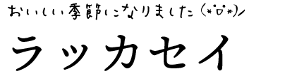 ラッカセイ