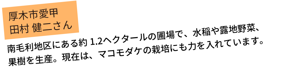 南毛利地区にある約1.2ヘクタールの圃場で、水稲や露地野菜、果樹を生産。