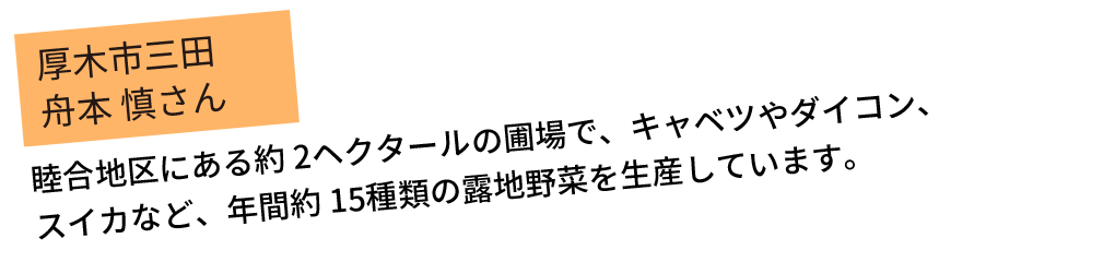 睦合地区にある約2ヘクタールの圃場で、キャベツやダイコン、スイカなど、年間約15種類の露地野菜を生産しています。