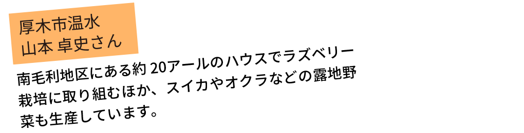 厚木市温水 山本 卓史さん。南毛利地区にある約20アールのハウスでラズベリー栽培に取り組むほか、スイカやオクラなどの露地野菜も生産しています。