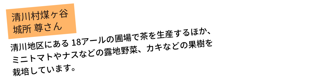 清川村煤ヶ谷 城所 尊さん 清川地区にある18アールの圃場で茶を生産するほか、ミニトマトやナスなどの露地野菜、カキなどの果樹を栽培しています。