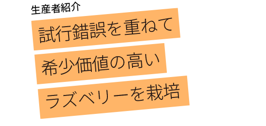 試行錯誤を重ねて希少価値の高いラズベリーを栽培