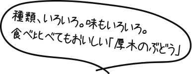 種類、いろいろ。味もいろいろ。食べ比べてもおいしい「厚木のぶどう」