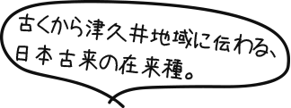 古くから津久井地域に伝わる、日本古来の在来種。