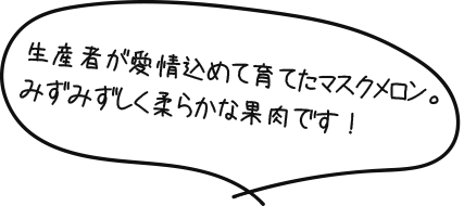 生産者が愛情込めて育てたマスクメロン。みずみずしく柔らかな果肉です！