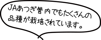 JAあつぎ管内でもたくさんの品種が栽培されています。